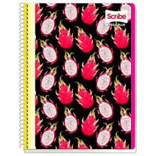 7510 Cuaderno profesional SCRIBE mega 100 RAYA CAJA C/36
