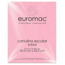 WA0024 Cartulina BRISTOL 50 x 65 cms c/100 hjs ROSA